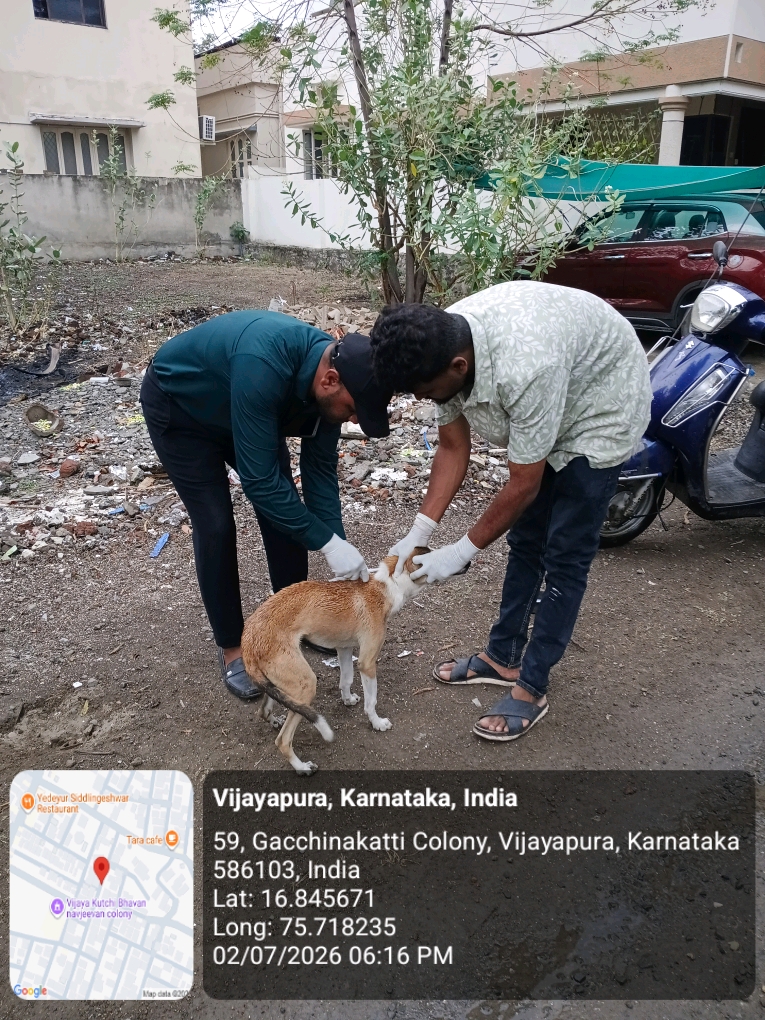dog-rescue-015.jpg