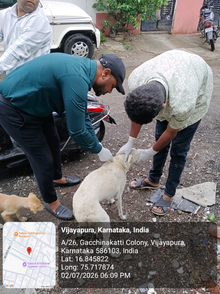 dog-rescue-017.jpg