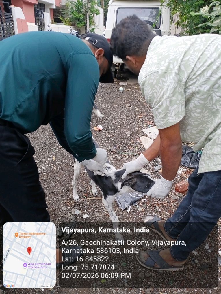 dog-rescue-018.jpg