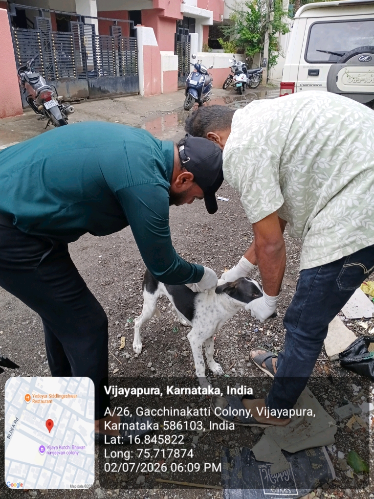 dog-rescue-019.jpg