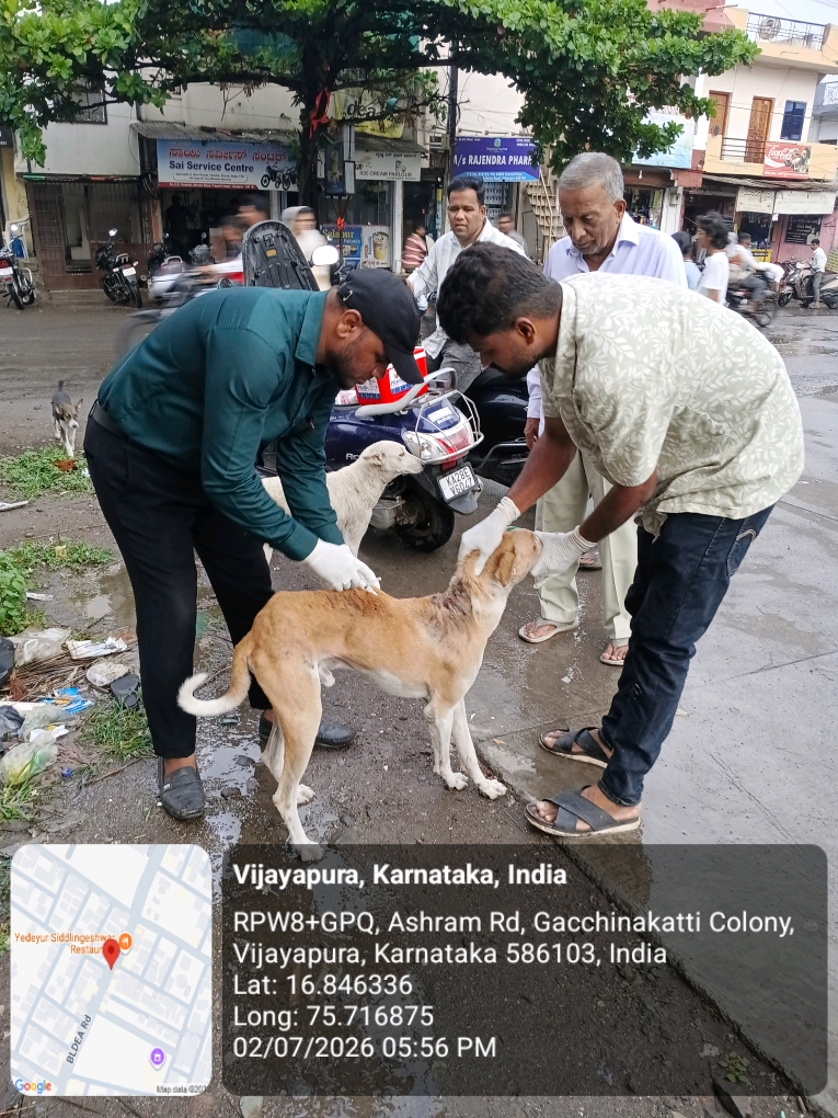 dog-rescue-020.jpg