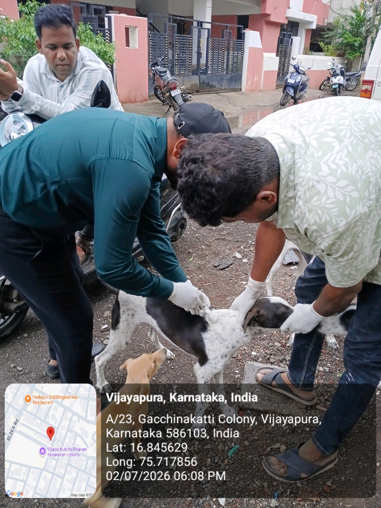dog-rescue-021.jpg