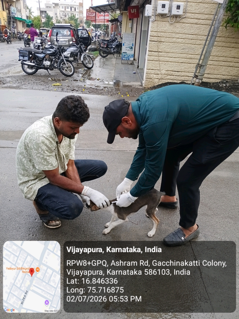 dog-rescue-022.jpg