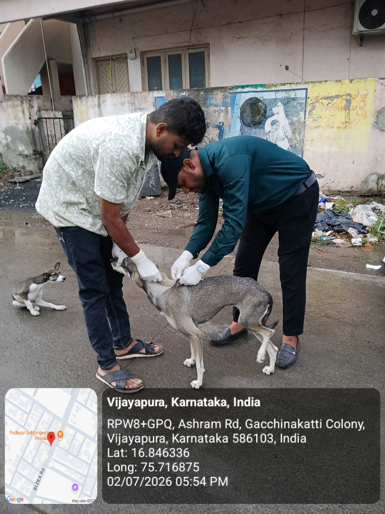 dog-rescue-023.jpg