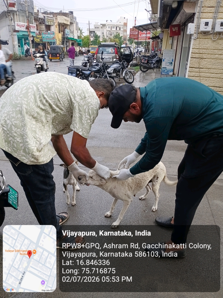 dog-rescue-025.jpg