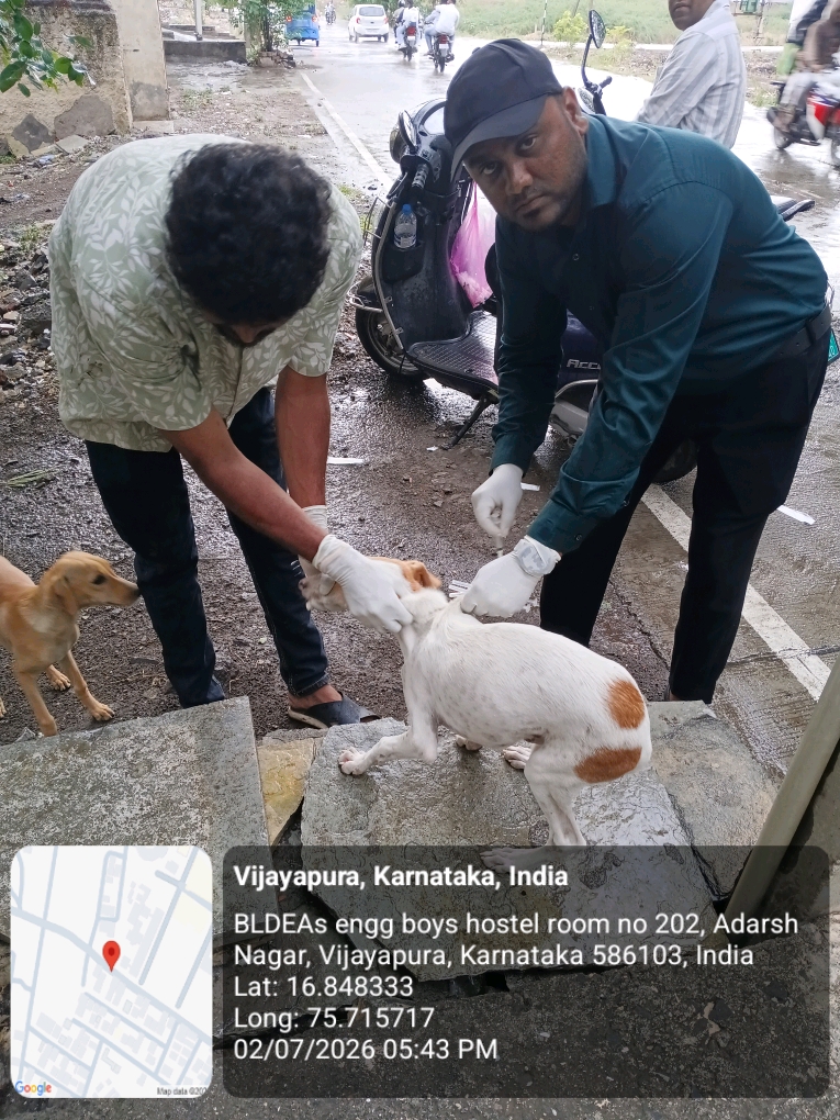 dog-rescue-030.jpg