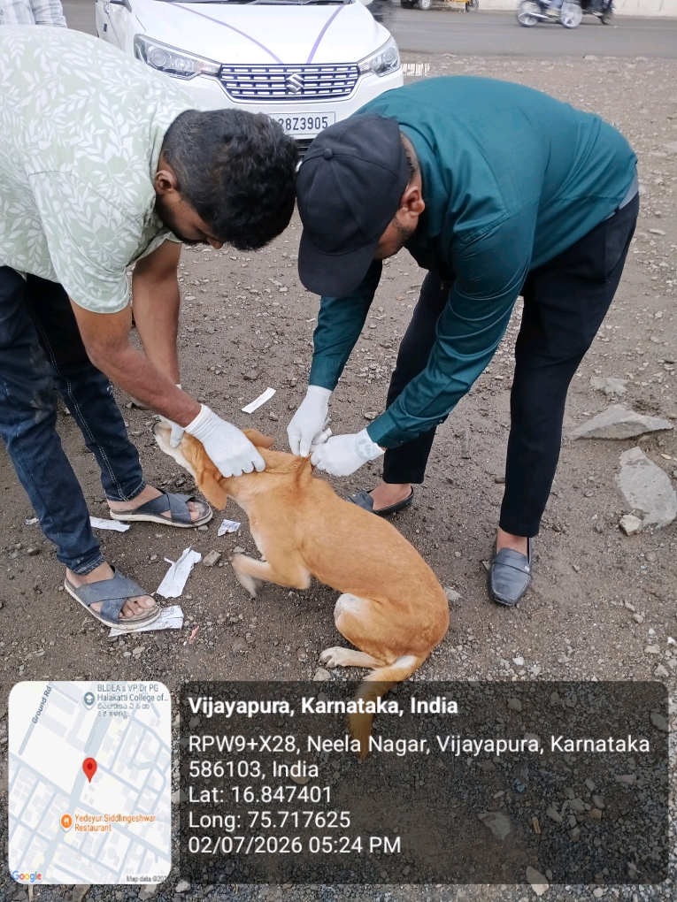 dog-rescue-033.jpg