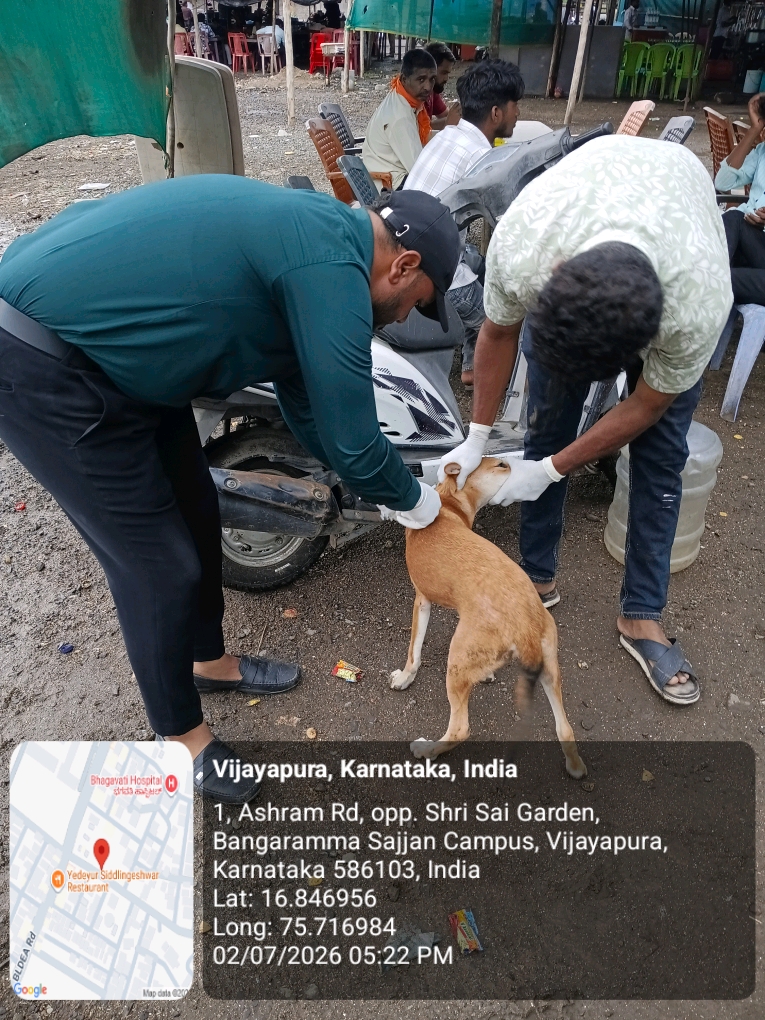 dog-rescue-034.jpg