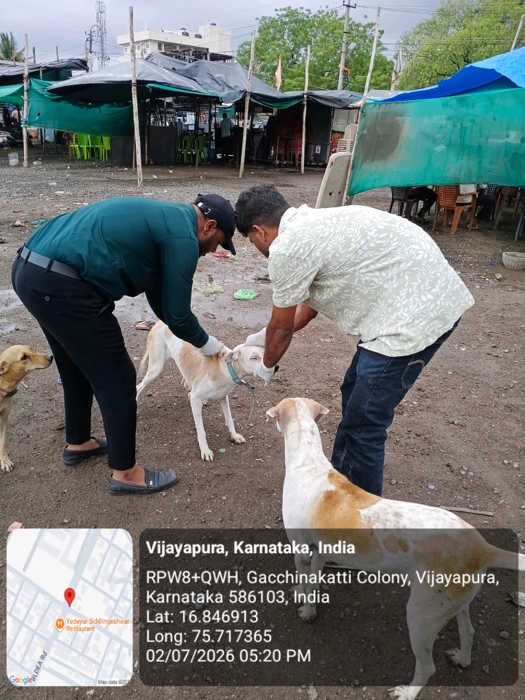 dog-rescue-036.jpg