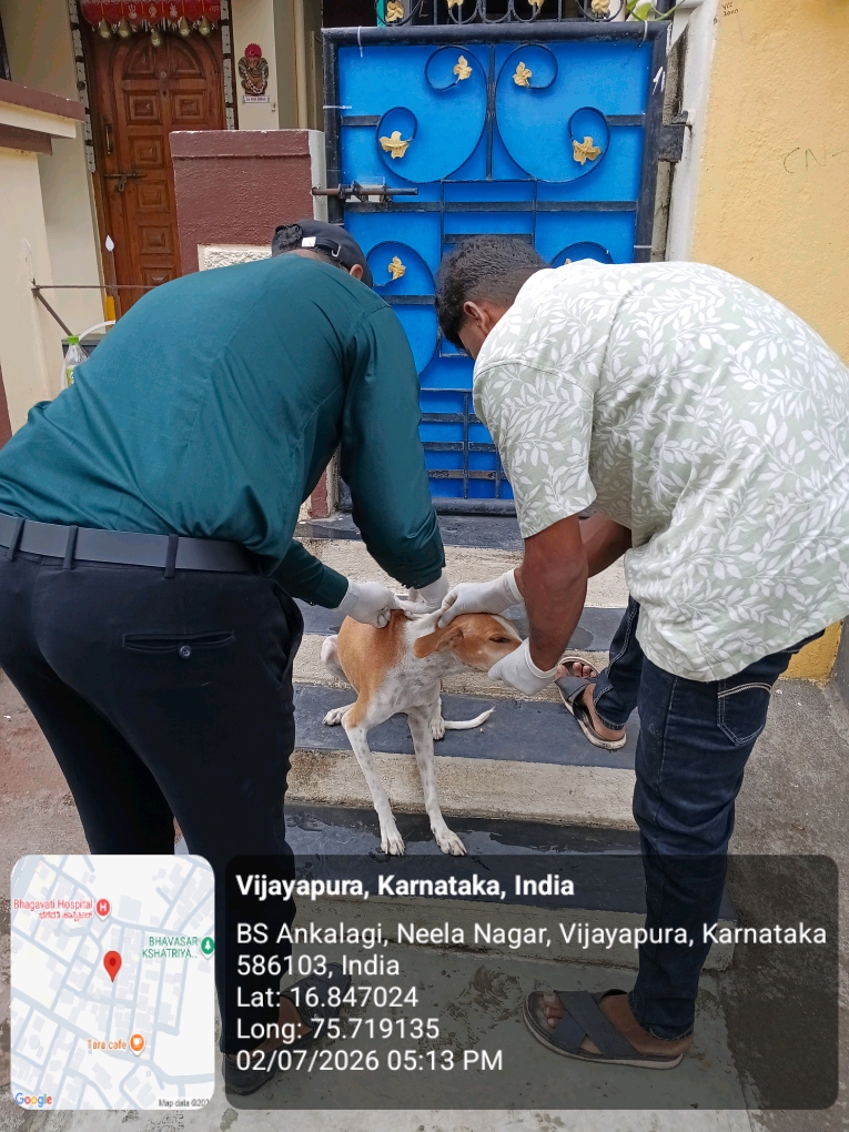 dog-rescue-040.jpg