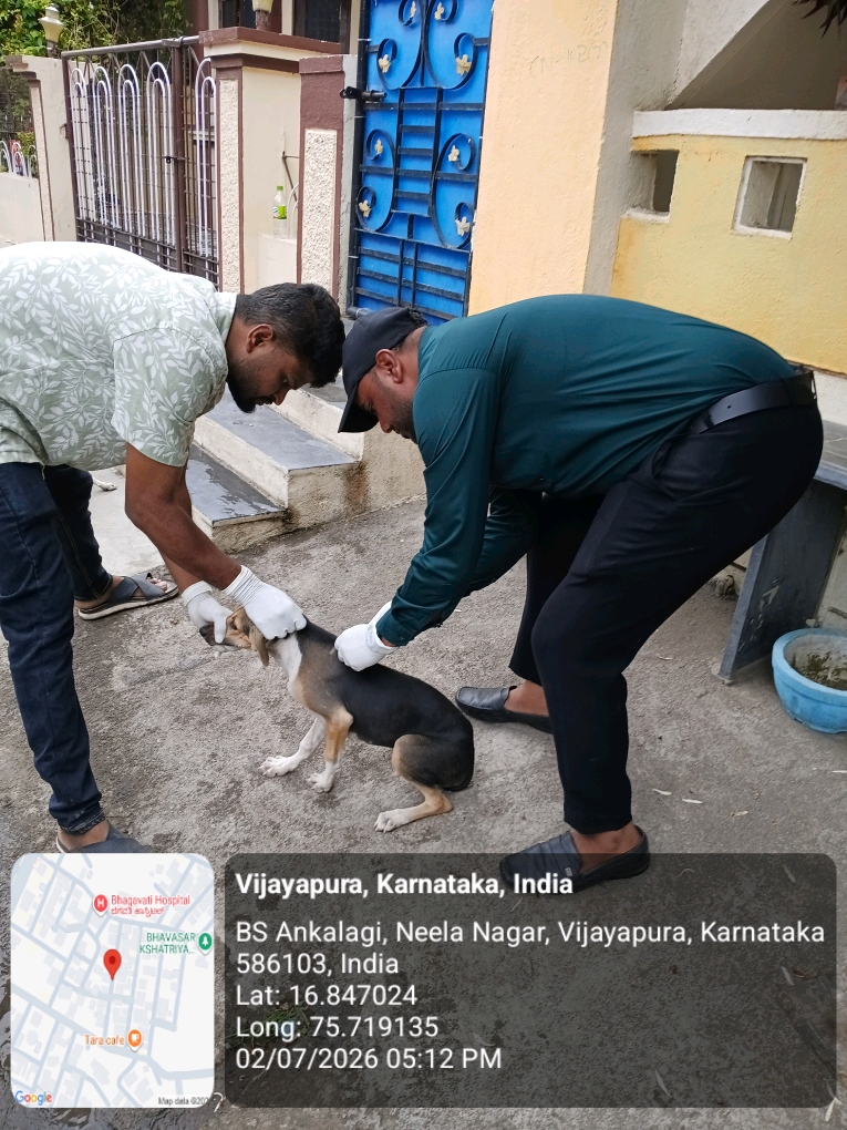 dog-rescue-041.jpg
