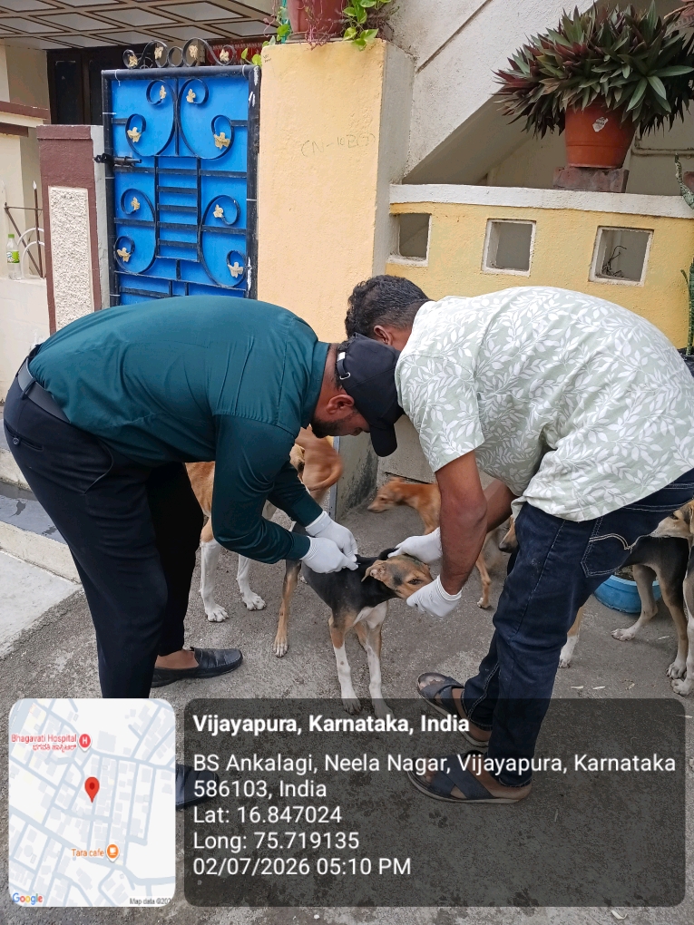 dog-rescue-043.jpg