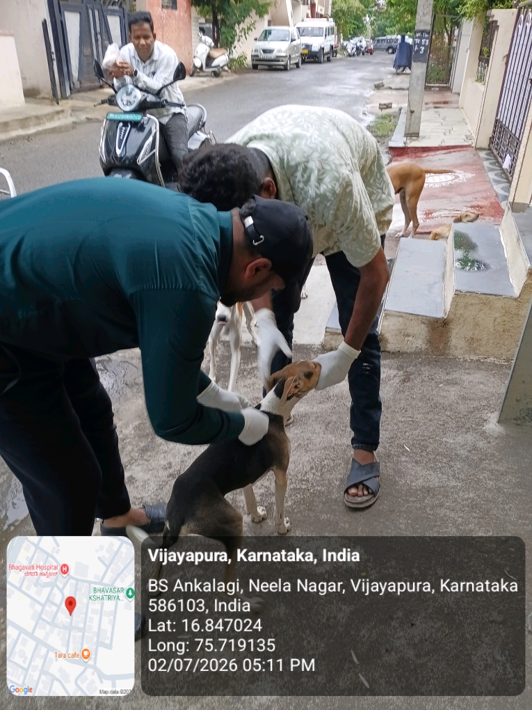 dog-rescue-044.jpg