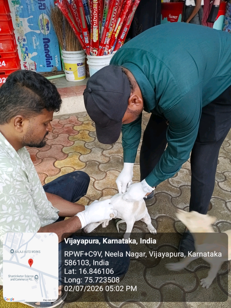 dog-rescue-046.jpg