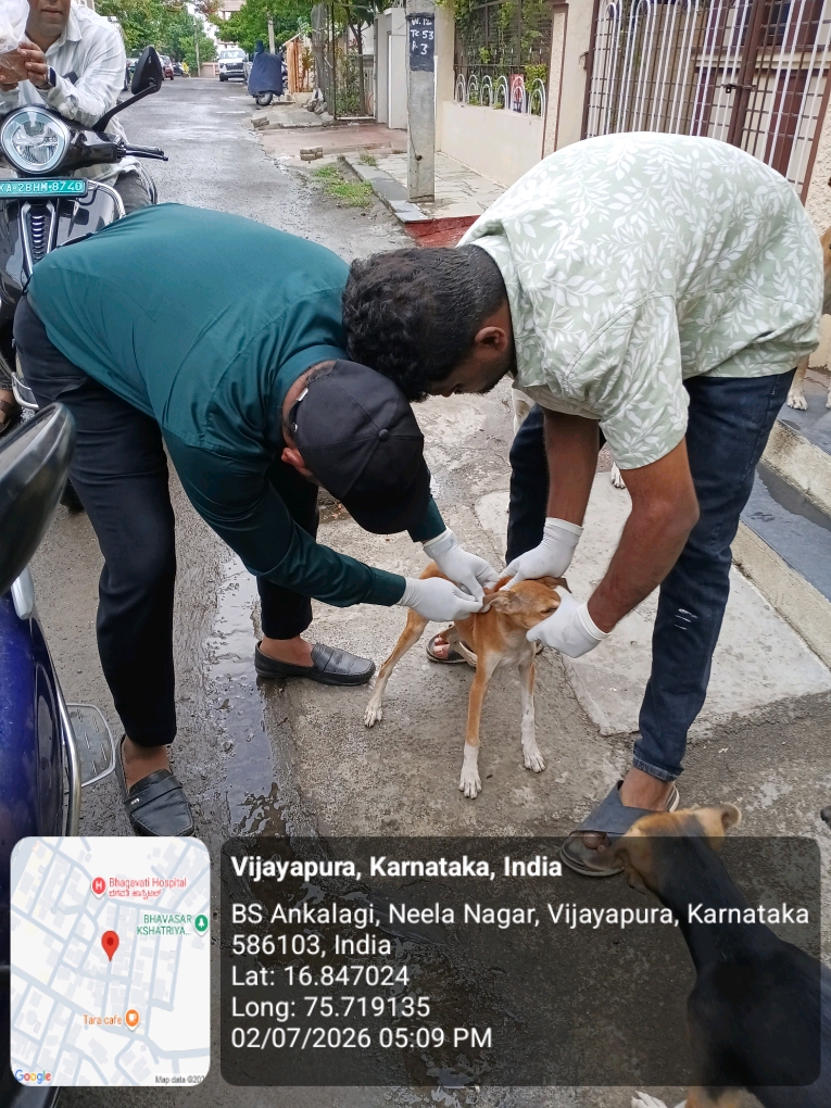 dog-rescue-047.jpg