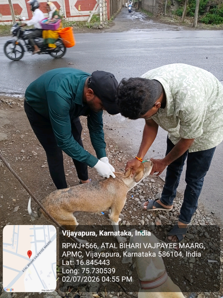 dog-rescue-048.jpg