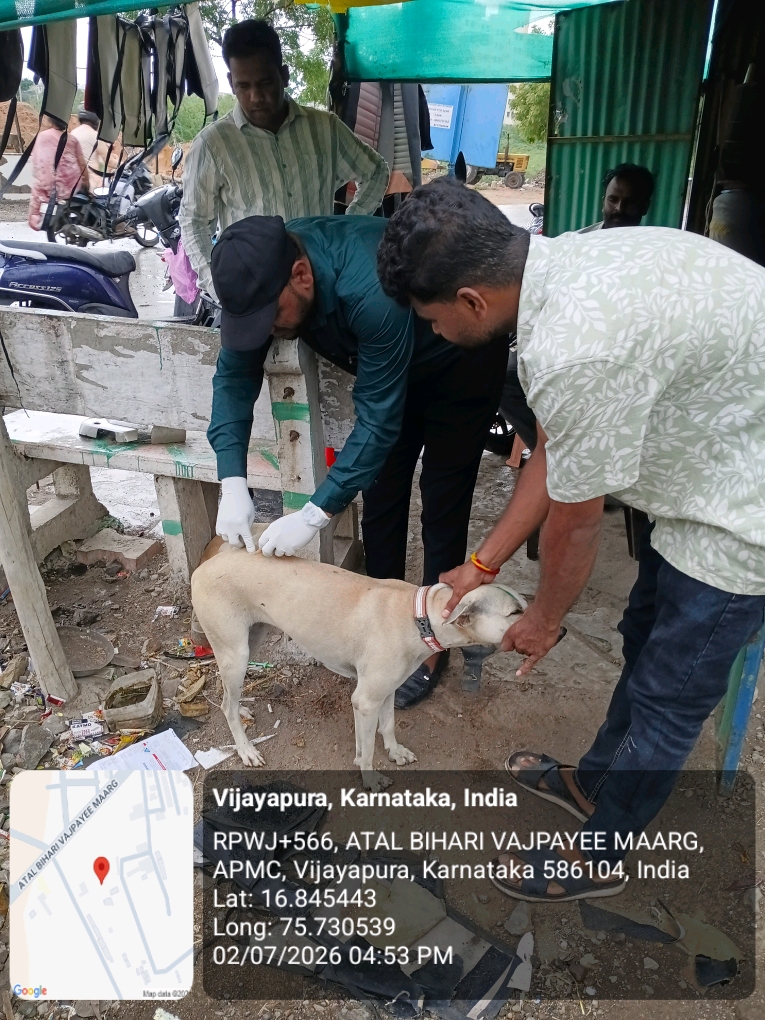 dog-rescue-054.jpg