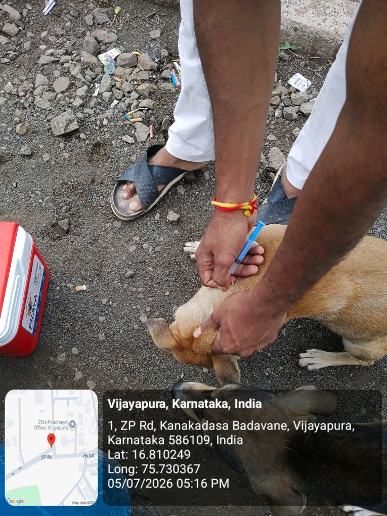 dog-rescue-055.jpg