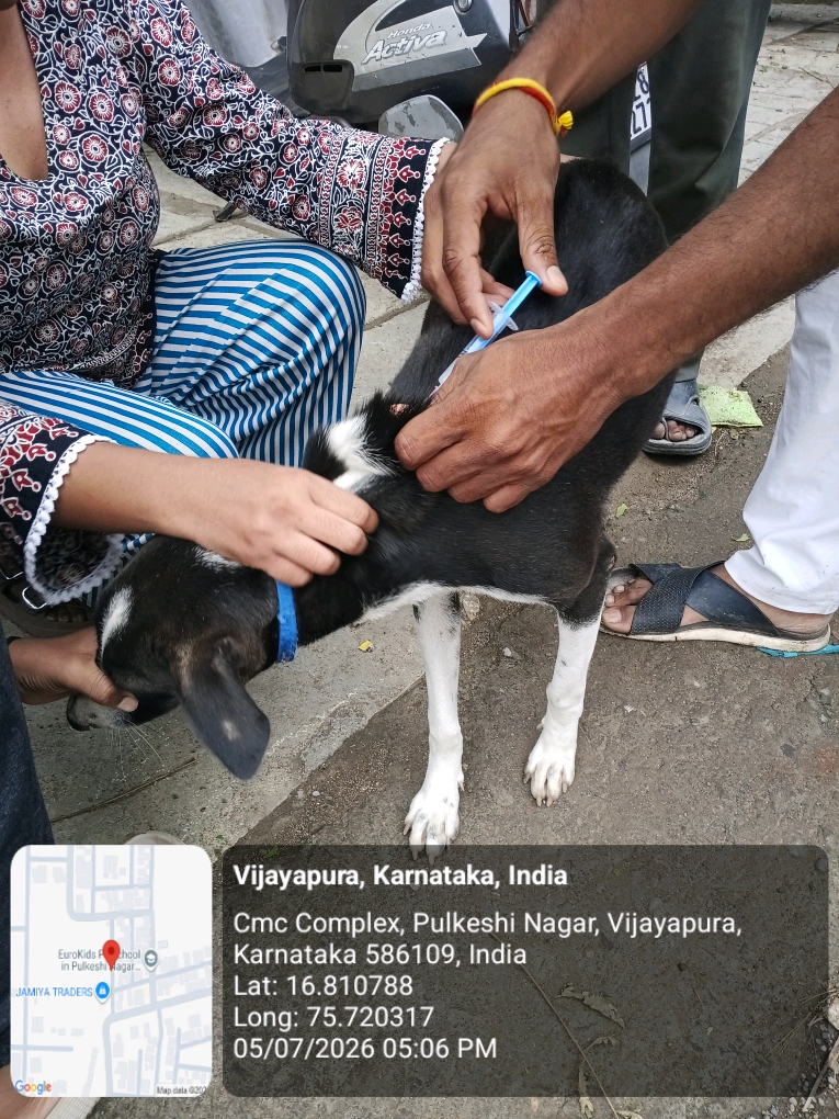 dog-rescue-056.jpg